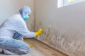 Forensic Mold Investigation in College Park, GA